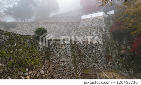 秋葉的天空山城【備中松山城】無人機空拍_TKBM_No13 120453730