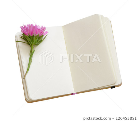Aster bud on an opened notebook isolated on white background Aster bud on an opened notebook isolated on white background 120453851