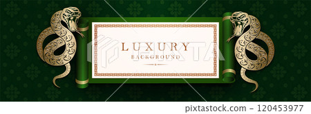 Happy New Year, Year of the Snake, green textured illustration with rectangular frame and snakes 120453977