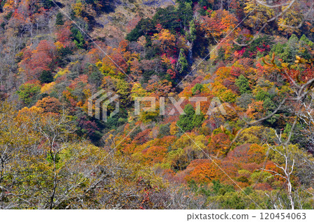 秋天的山面染上鮮豔的色彩 秋天的山面染上鮮豔的色彩 120454063