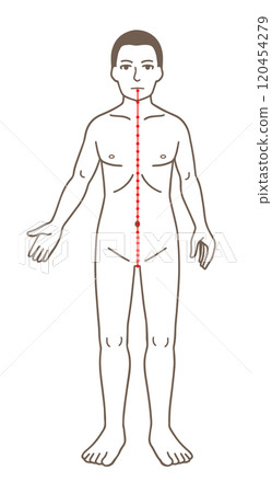 Illustrations of acupuncture points, meridians, and pressure points 120454279