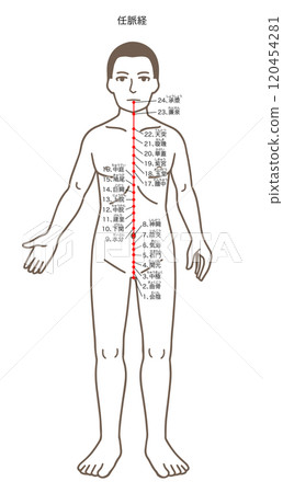 Illustrations of acupuncture points, meridians, and pressure points 120454281