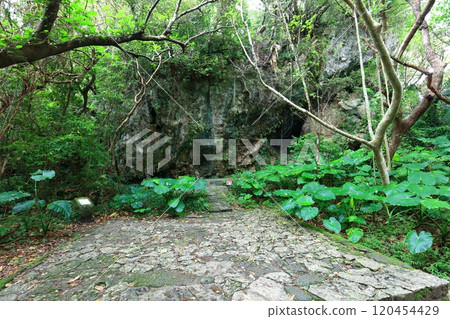 [Okinawa Prefecture] Ufugui, the Chief Keeper of Sefa Utaki 120454429