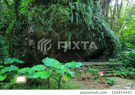 [Okinawa Prefecture] Yuinchi at Sefa Utaki 120454445