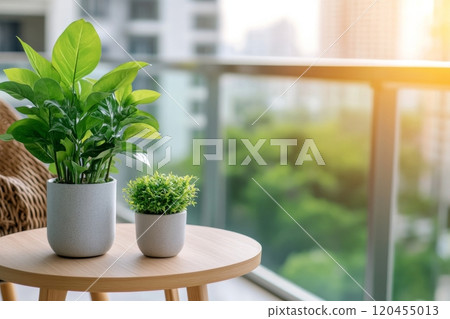 Potted plants on a balcony during golden hour with sunlight in the background 120455013