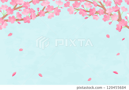 Spring cherry blossom background illustration material Sakura flower cute template full bloom new life celebration copy space Spring cherry blossom background illustration material Sakura flower cute template full bloom new life celebration copy space 120455684