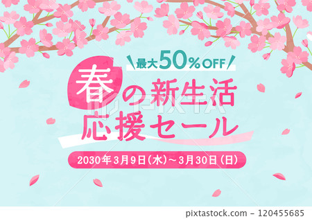 Spring cherry blossom background illustration material Sakura flower cute template full bloom new life celebration copy space Spring cherry blossom background illustration material Sakura flower cute template full bloom new life celebration copy space 120455685