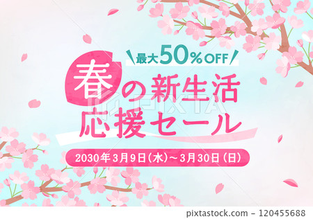 Spring cherry blossom background illustration material Sakura flower cute template full bloom new life celebration copy space 120455688