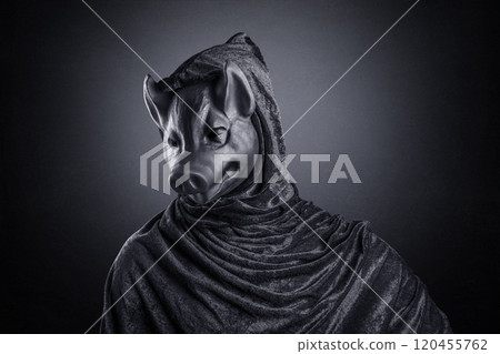 Pig in hooded cloak at night over dark misty background 120455762