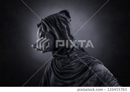 Pig in hooded cloak at night over dark misty background 120455763