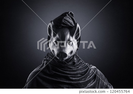 Pig in hooded cloak at night over dark misty background 120455764