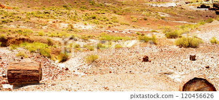 Bleak Landscape Petrified Forest National Park Arizona Bleak Landscape Petrified Forest National Park Arizona 120456626