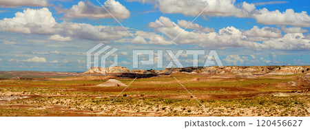 Bleak Landscape Petrified Forest National Park Arizona Bleak Landscape Petrified Forest National Park Arizona 120456627