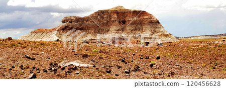 Bleak Landscape Petrified Forest National Park Arizona 120456628