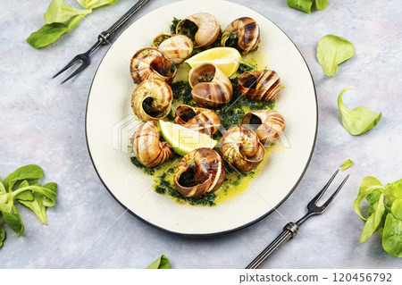 Mediterranean escargot delicacy snails. Mediterranean escargot delicacy snails. 120456792