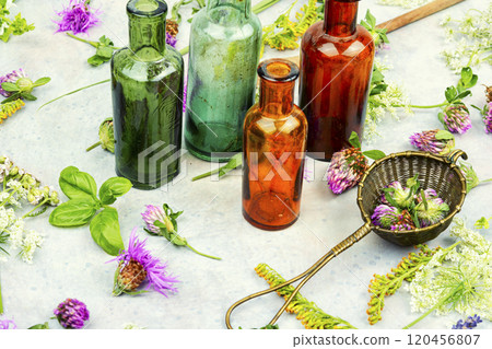 Healing herbs, herbal medicine. 120456807