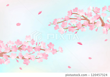 春天櫻花背景插畫素材櫻花花可愛範本盛開新生活慶典 120457324