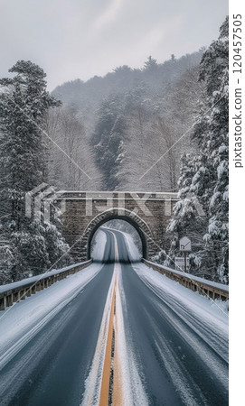 Snow covered bridge in winter forest with fresh snowfall and serene atmosphere 120457505
