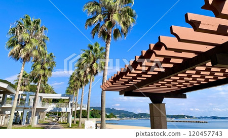 Miyazaki beach where palm trees and pergola roofs stand out against the blue sky (Kira Waikiki Beach/Nishio City, Aichi Prefecture) Miyazaki beach where palm trees and pergola roofs stand out against the blue sky (Kira Waikiki Beach/Nishio City, Aichi Prefecture) 120457743