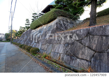 愛知縣長久手市_戰場公園東側3_2024年1月 120457909