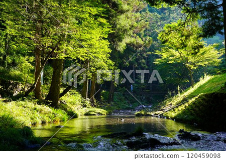 八百津町五保瀧公園內有清澈的溪流流過 八百津町五保瀧公園內有清澈的溪流流過 120459098