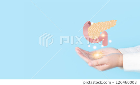 Doctor hands holding pancreas organ anatomy hologram over blue background. Awareness of pancreatitis and pancreatic cancer concept. Doctor hands holding pancreas organ anatomy hologram over blue background. Awareness of pancreatitis and pancreatic cancer concept. 120460008