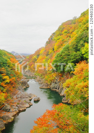 Takado Gorges 120460180