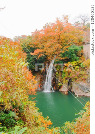 Takado Gorges Takado Gorges 120460183