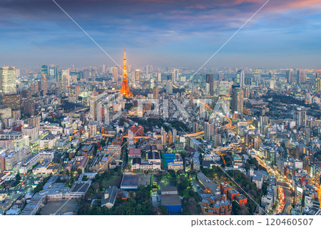 Tokyo Cityscape with Tokyo Tower. Tokyo Cityscape with Tokyo Tower. 120460507