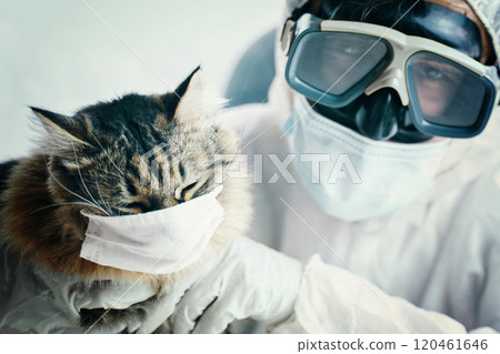 A cat and a person, both in masks and goggles, share a funny safety moment, stressing health protection importance A cat and a person, both in masks and goggles, share a funny safety moment, stressing health protection importance 120461646