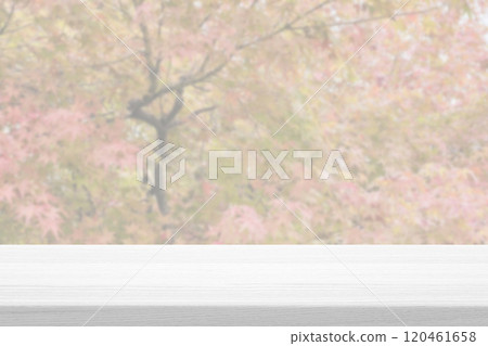 White Wood Table with Blurred Garden in the Autumn Background. 120461658