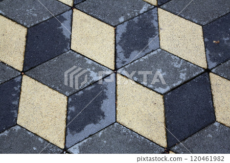 Stone Paved Garden Path 120461982