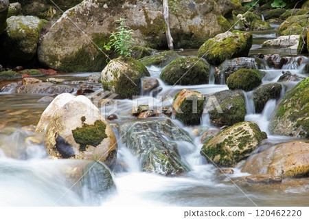 Crni Drim River in Macedonia Crni Drim River in Macedonia 120462220