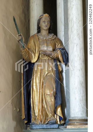 St. Agatha, statue on the altar of St. Barbara in the parish church of St. Anthony the Hermit in Slavetic, Croatia 120462249