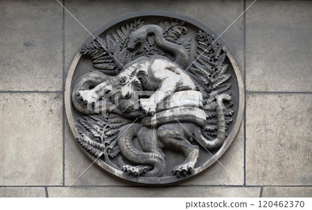 Lion and snake. Stone relief at the building of the Faculte de Medicine Paris, France. Lion and snake. Stone relief at the building of the Faculte de Medicine Paris, France. 120462370