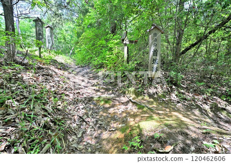 備中高松城被水淹沒,秀吉本營和蛙家堤的遺跡 備中高松城被水淹沒,秀吉本營和蛙家堤的遺跡 120462606