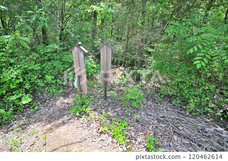 備中高松城被水淹沒，秀吉本營和蛙家堤的遺跡 120462614