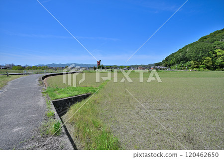 備中高松城被水淹沒,秀吉本營和蛙家堤的遺跡 備中高松城被水淹沒,秀吉本營和蛙家堤的遺跡 120462650