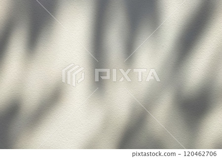 Leaves Shadow on White Stucco Wall Background. Leaves Shadow on White Stucco Wall Background. 120462706