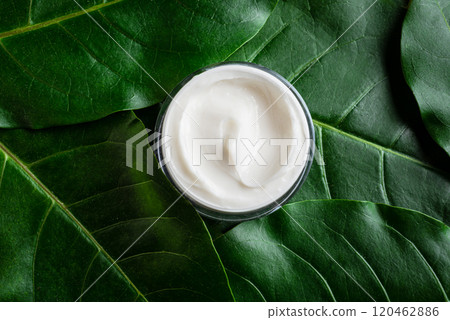 Jar of cosmetic cream on green plant leaves 120462886
