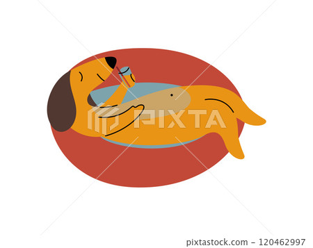 Purebred Brown Dachshund Dog Floating on Inflatable Inner Ring, Funny Playful Pet Animal Cartoon Character Vector Illustration Purebred Brown Dachshund Dog Floating on Inflatable Inner Ring, Funny Playful Pet Animal Cartoon Character Vector Illustration 120462997
