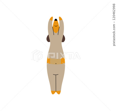 Purebred Brown Dachshund Dog Doing Fitness Exercise, Funny Playful Pet Animal Cartoon Character Vector Illustration Purebred Brown Dachshund Dog Doing Fitness Exercise, Funny Playful Pet Animal Cartoon Character Vector Illustration 120462998