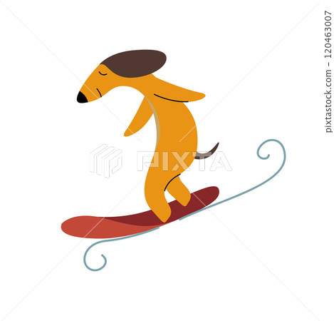 Purebred Brown Dachshund Dog Surfer Catching Wave, Funny Playful Pet Animal Cartoon Character Vector Illustration Purebred Brown Dachshund Dog Surfer Catching Wave, Funny Playful Pet Animal Cartoon Character Vector Illustration 120463007