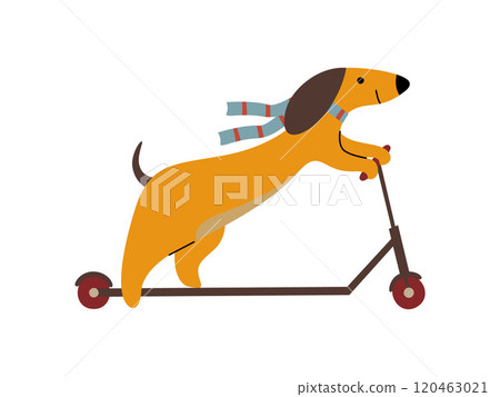 Purebred Brown Dachshund Dog Riding Kick Scooter, Funny Playful Pet Animal Cartoon Character Vector Illustration 120463021