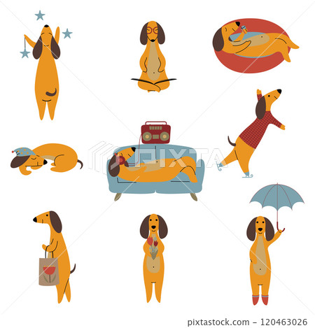 Collection of Purebred Brown Dachshund Dog, Friendly Funny Playful Pet Animals Cartoon Characters in Different Situations Vector Illustration Collection of Purebred Brown Dachshund Dog, Friendly Funny Playful Pet Animals Cartoon Characters in Different Situations Vector Illustration 120463026
