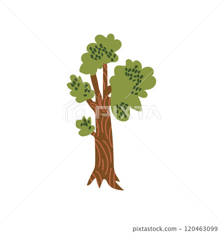 Green Tree, Urban Architecture Design Element Cartoon Vector Illustration 120463099