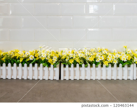 The artificial flower row in the white fence. 120463144