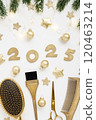 Numbers 2025 golden colored scissors and comb with fir twigs on white background. Vertical template greeting card of hairdresser or hair salon. 120463214