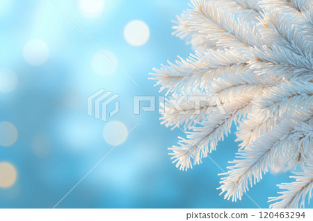 Winter background with fir tree branch in the snow and copy space 120463294