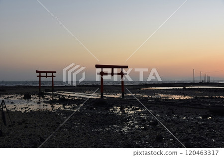 佐賀日出時的塔拉水下鳥居 120463317